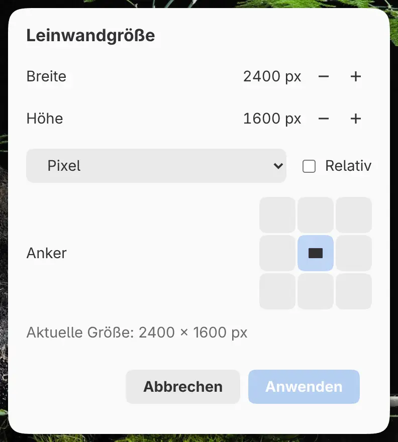 Der Dialog Leinwandgröße.
