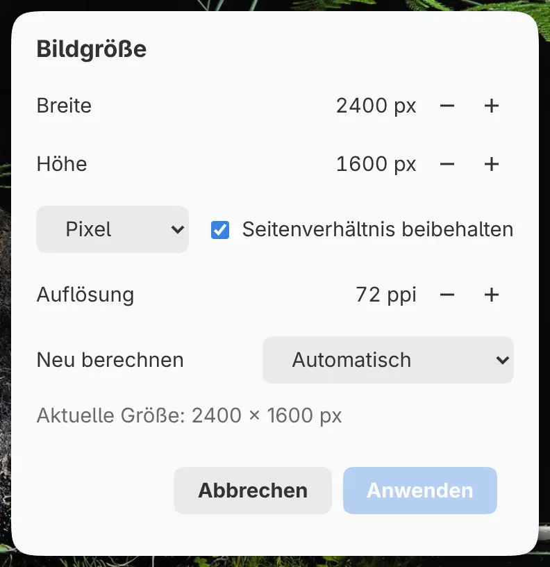 Der Dialog Bildgröße.
