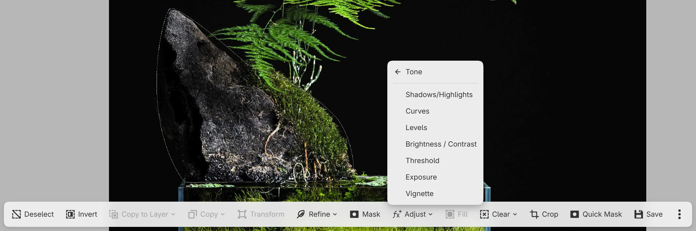 The selection bar with the Adjust menu open on the Tone category, beside the selection around the rock.