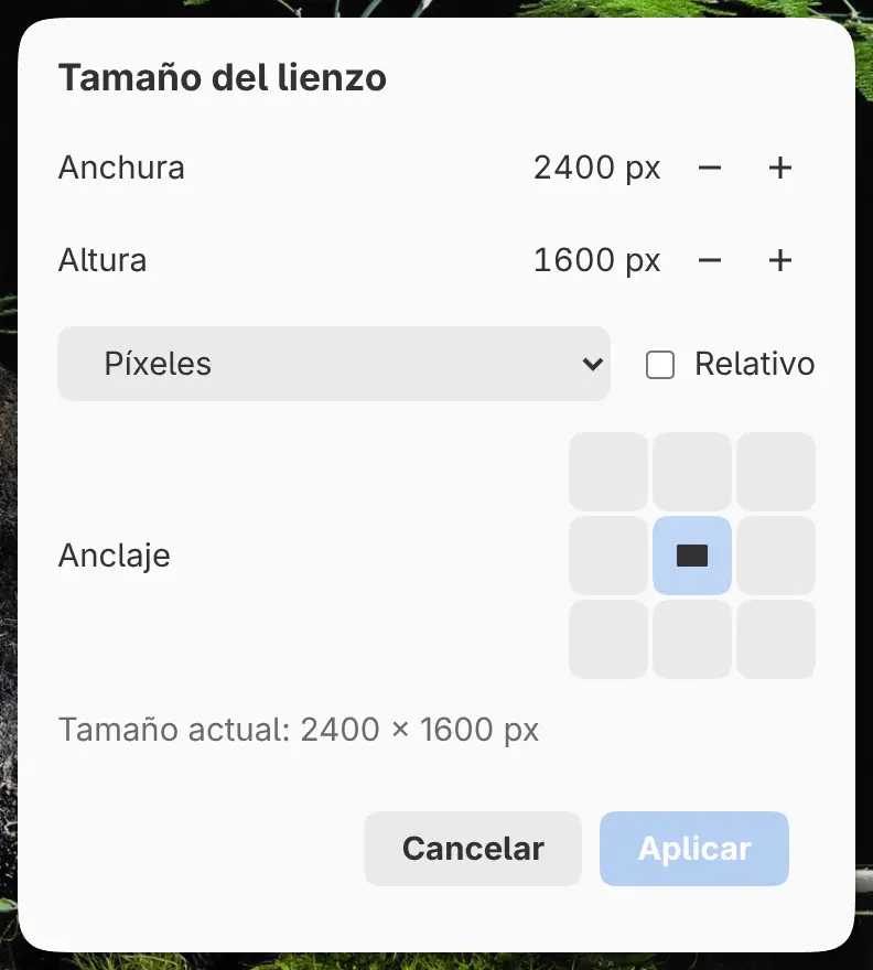 El diálogo Tamaño del lienzo.