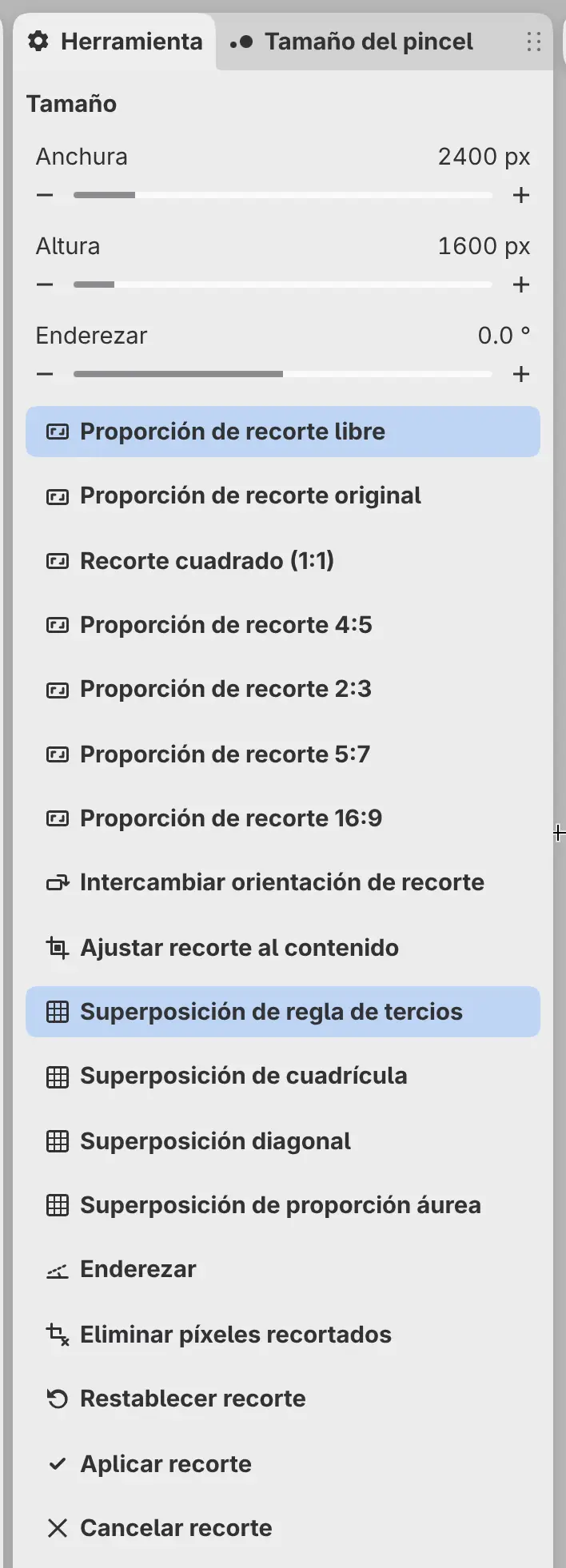 El panel Herramienta mientras recortas, con Anchura, Altura y Enderezar.