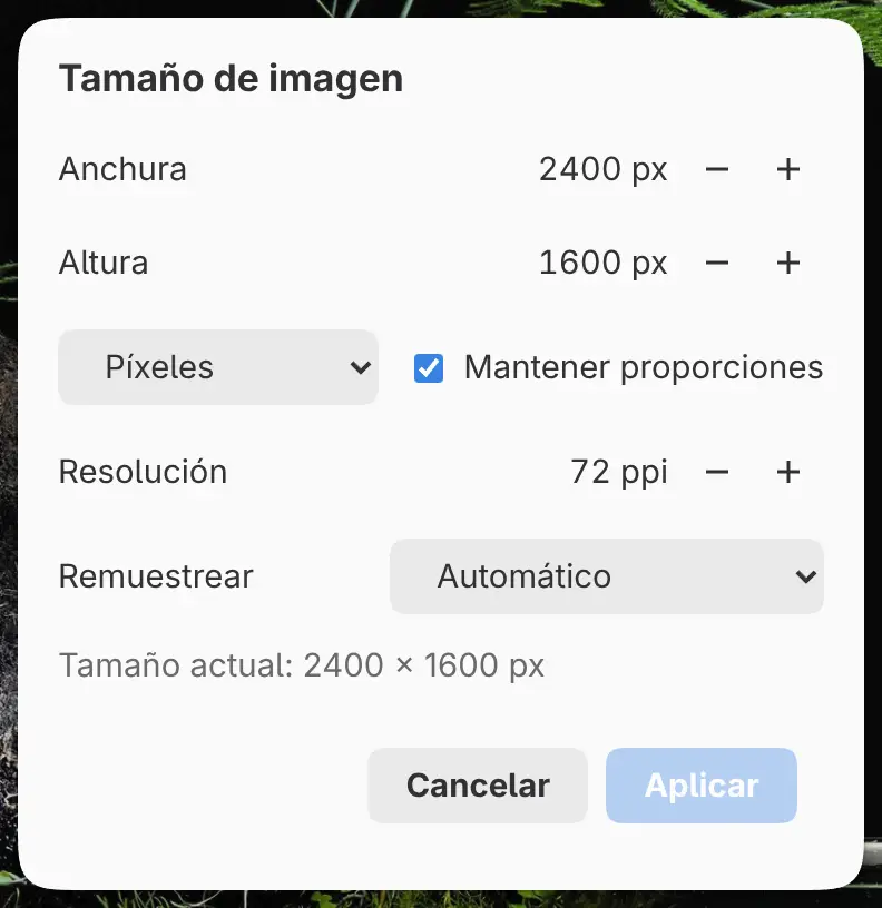 El diálogo Tamaño de imagen.