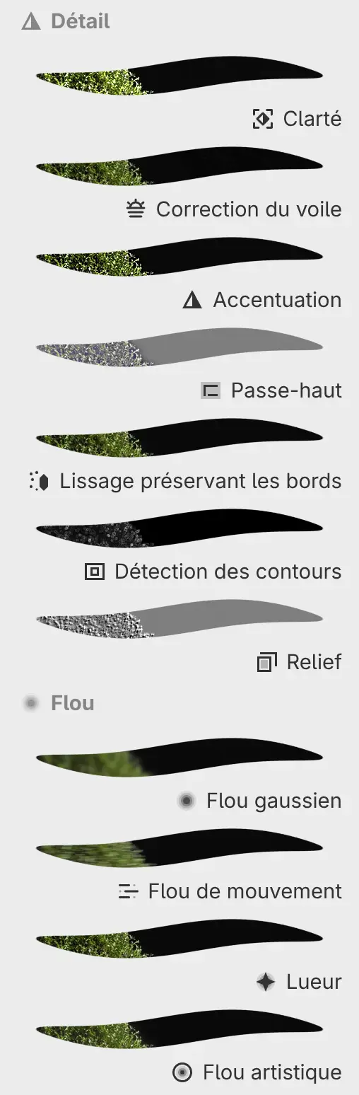 Le panneau Filtres affichant les catégories Détail et Flou avec un aperçu de chaque filtre.
