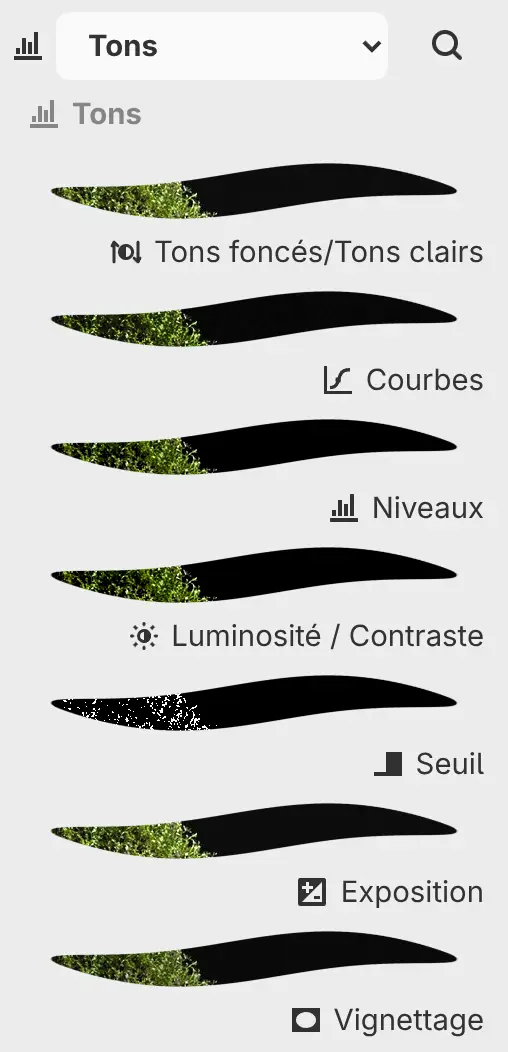 Le panneau Filtres affichant la catégorie Tons avec un aperçu de chaque filtre.