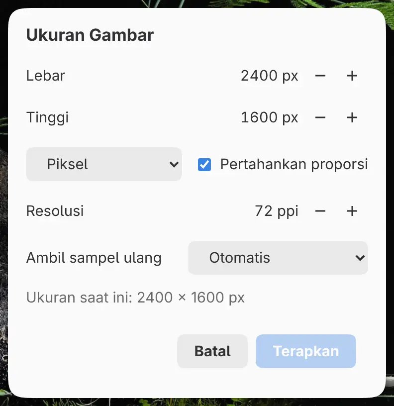 Dialog Ukuran Gambar.