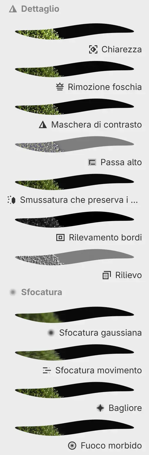 Il pannello Filtri con le categorie Dettaglio e Sfocatura e un’anteprima di ogni filtro.