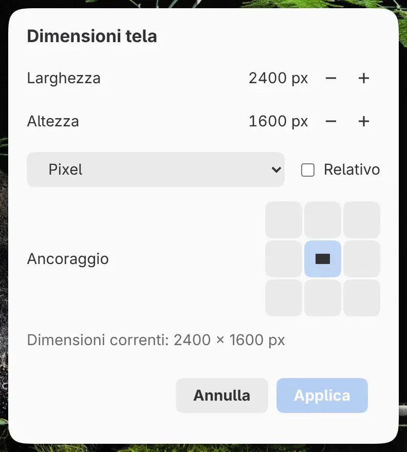 La finestra di dialogo Dimensioni tela.