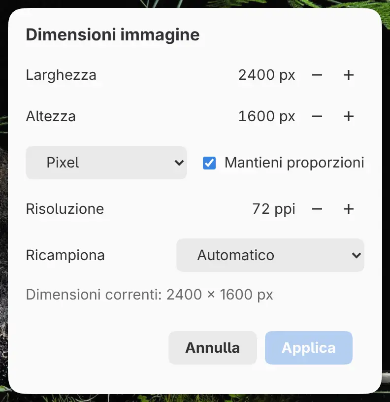 La finestra di dialogo Dimensioni immagine.