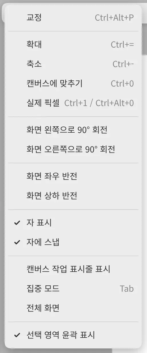 확대/축소, 회전, 반전 명령이 있는 보기 메뉴.