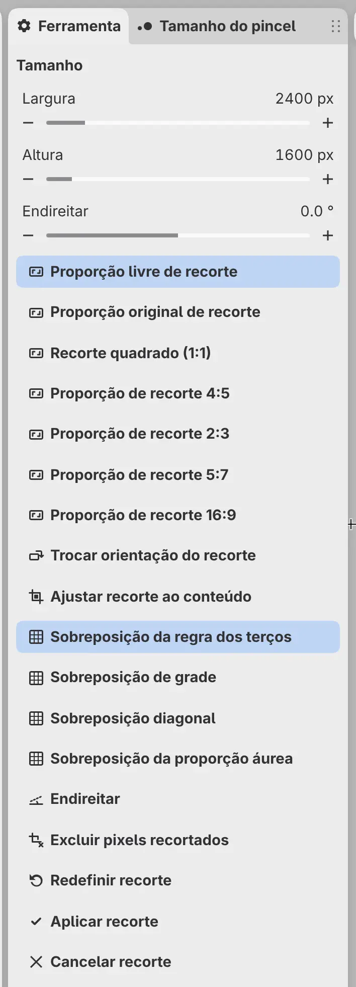 O painel Ferramenta durante o recorte, com Largura, Altura e Endireitar.