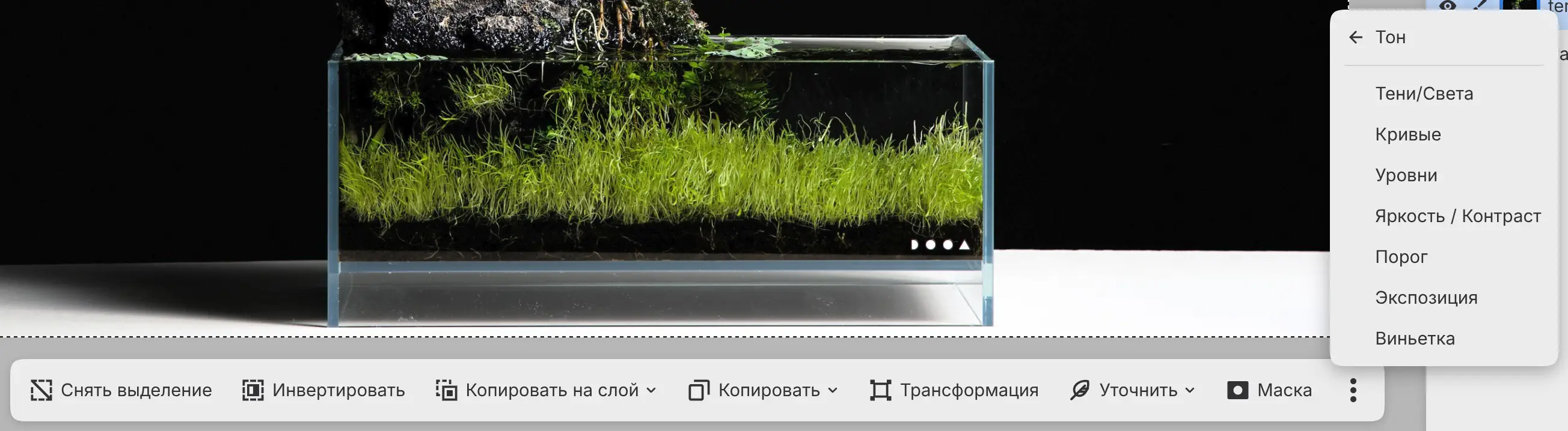 Панель выделения с меню «Настроить», открытым на категории «Тон».