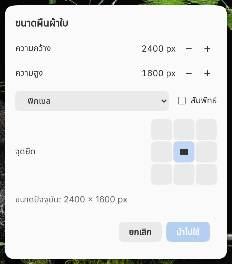 กล่องโต้ตอบขนาดผืนผ้าใบ