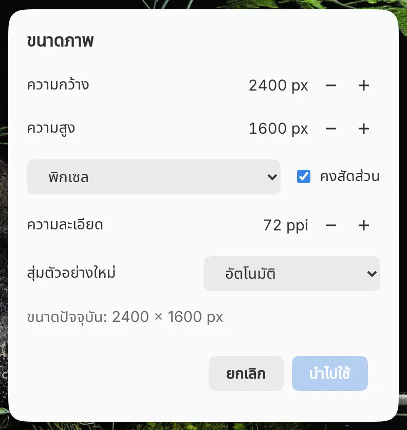 กล่องโต้ตอบขนาดภาพ