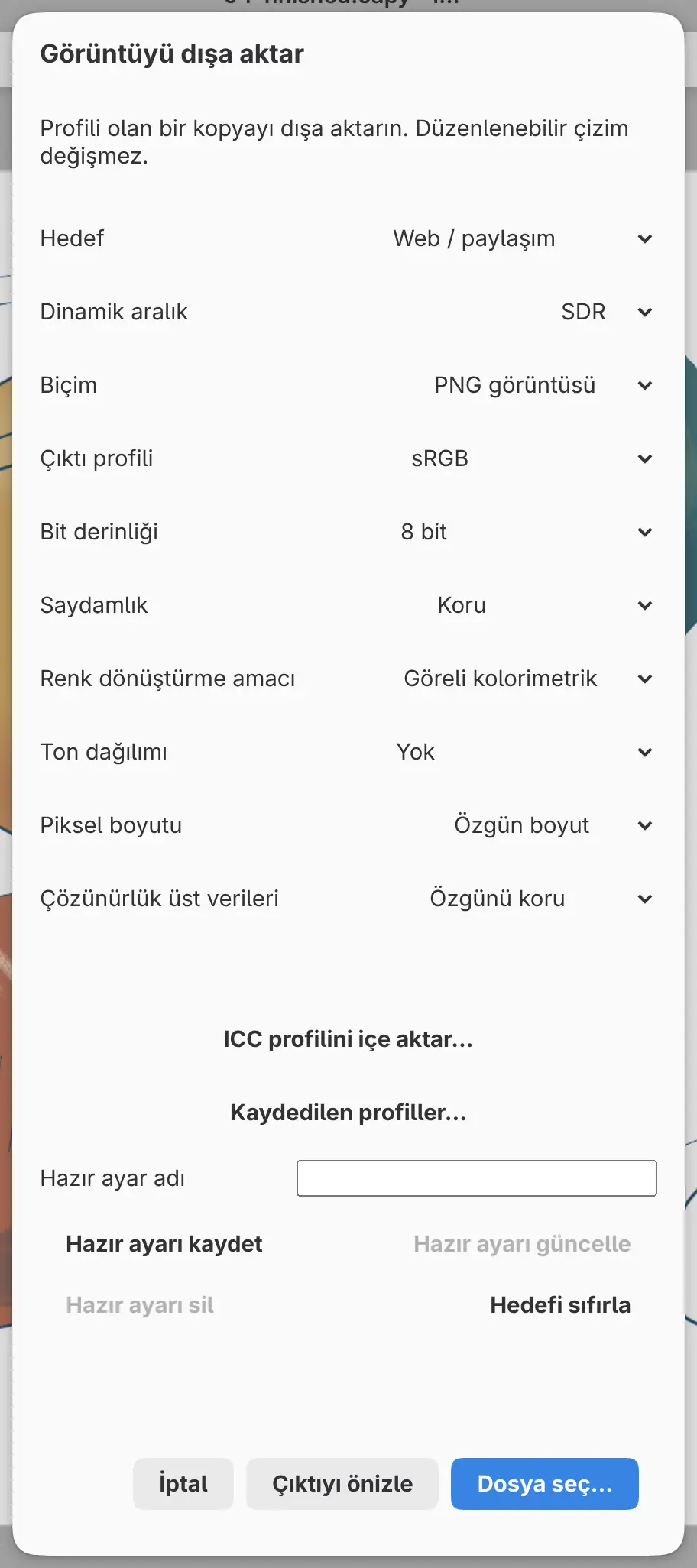 Hedef ayarı Web / paylaşım olan Görüntüyü dışa aktar iletişim kutusu.