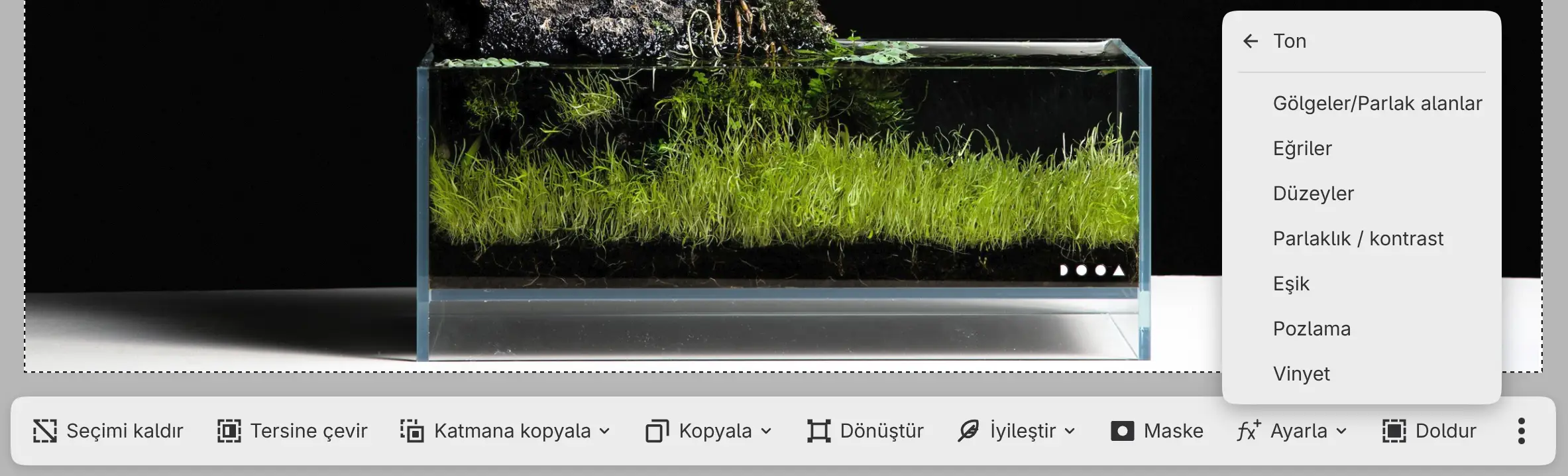 Ayarla menüsü Ton kategorisinde açık olan seçim çubuğu.