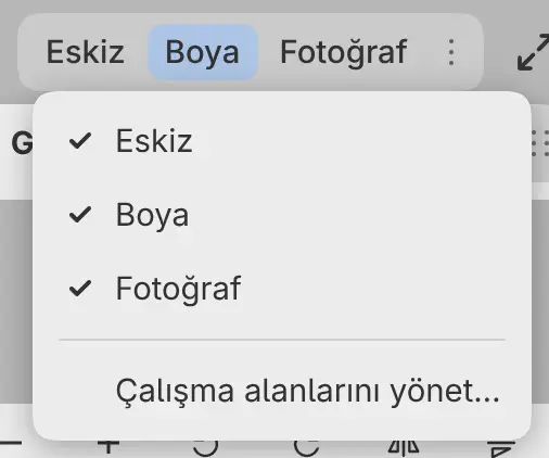 Her çalışma alanı için bir onay kutusu ve Çalışma alanlarını yönet… öğesini içeren Çalışma alanı seçenekleri menüsü.