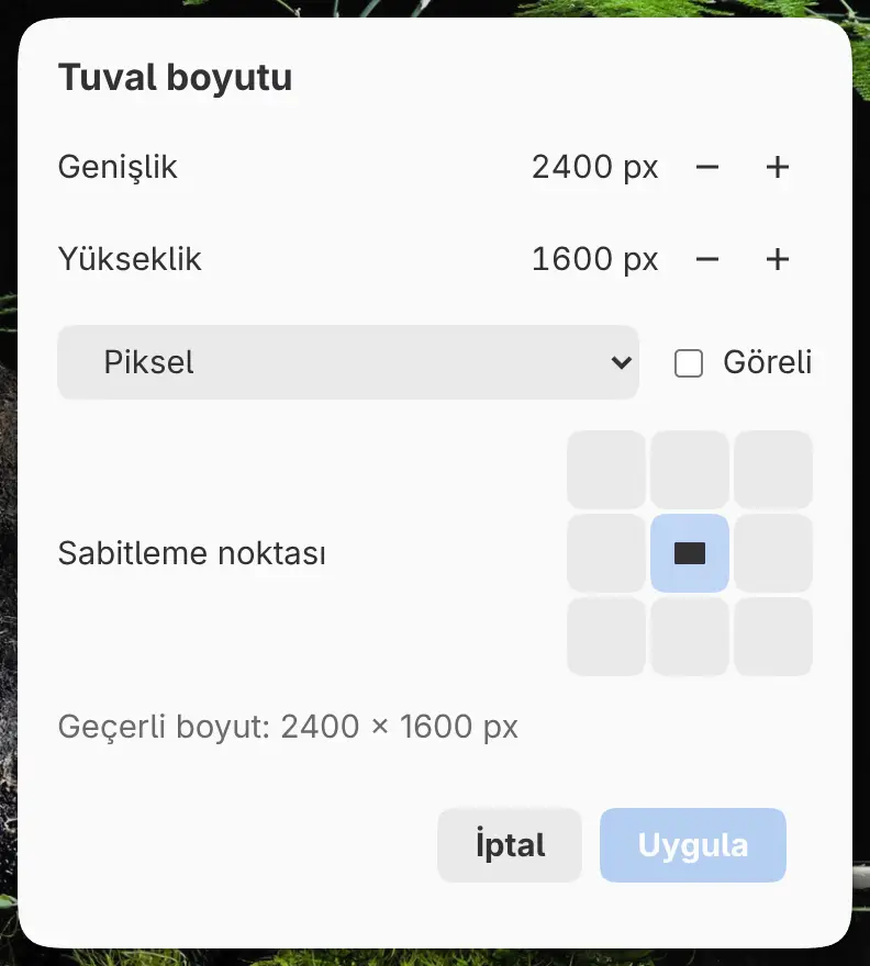 Tuval boyutu iletişim kutusu.