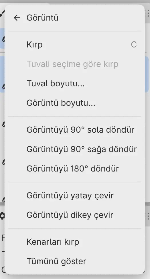 Düzenle menüsünün Görüntü alt menüsü.