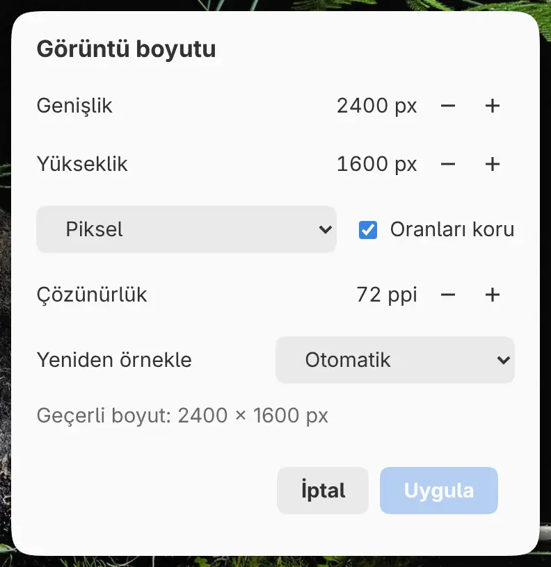 Görüntü boyutu iletişim kutusu.