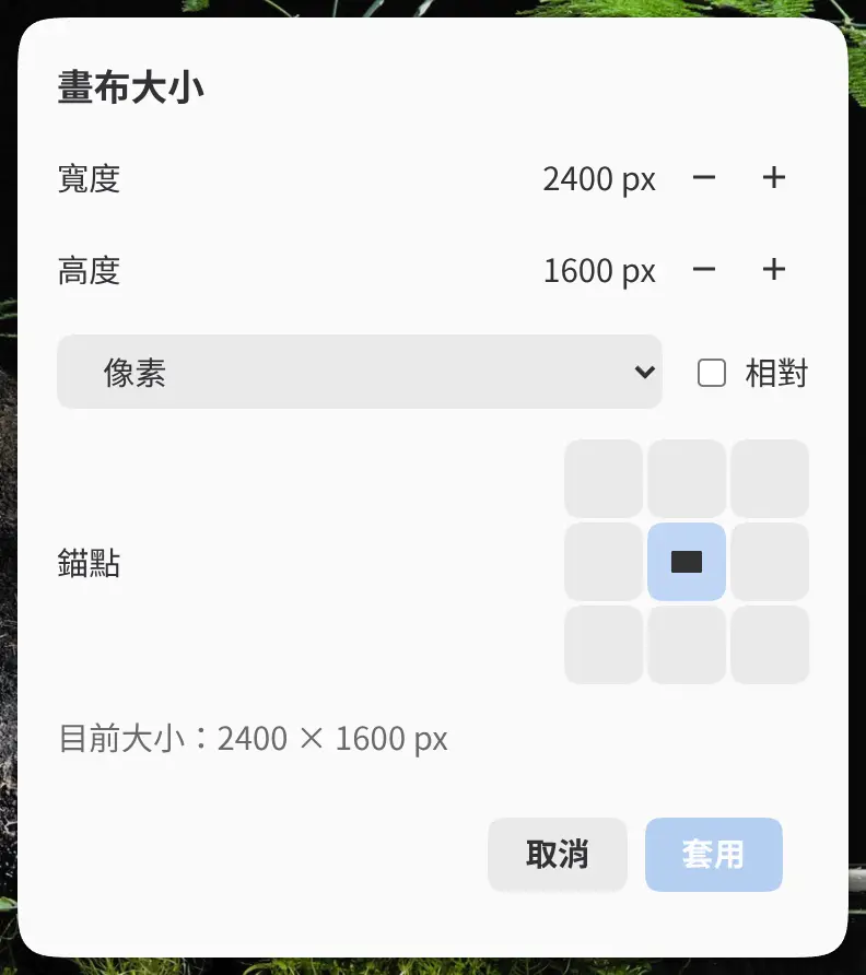 畫布大小對話方塊。