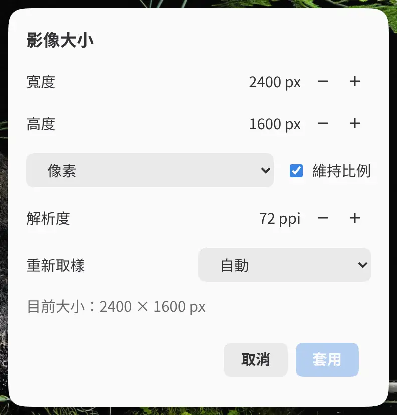 影像大小對話方塊。