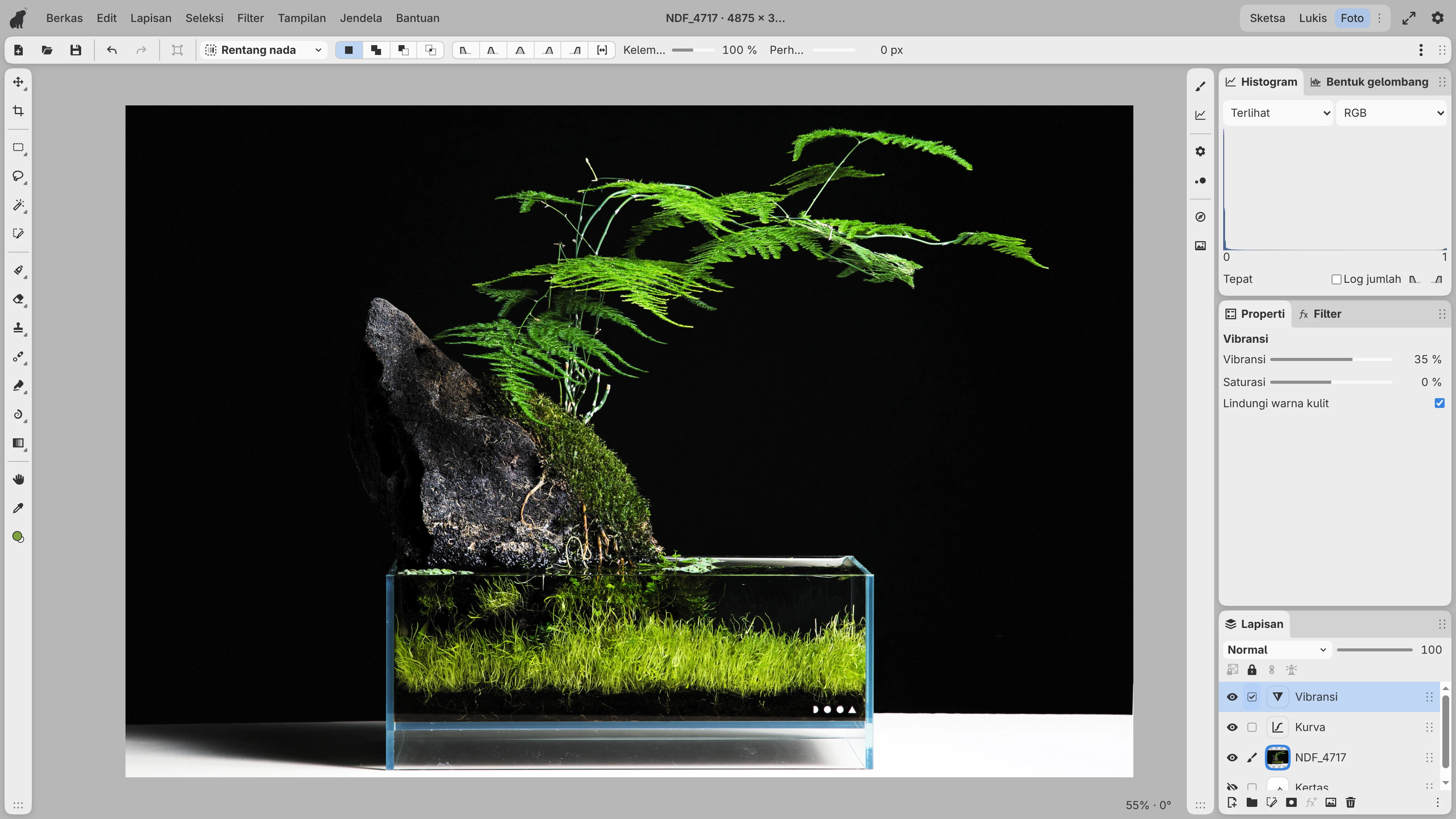Foto terarium kecil di ruang kerja Photo, dengan alat rentang Tonal yang siap dipilih berdasarkan kecerahan, serta lapisan penyesuaian Curves dan Vibrance.