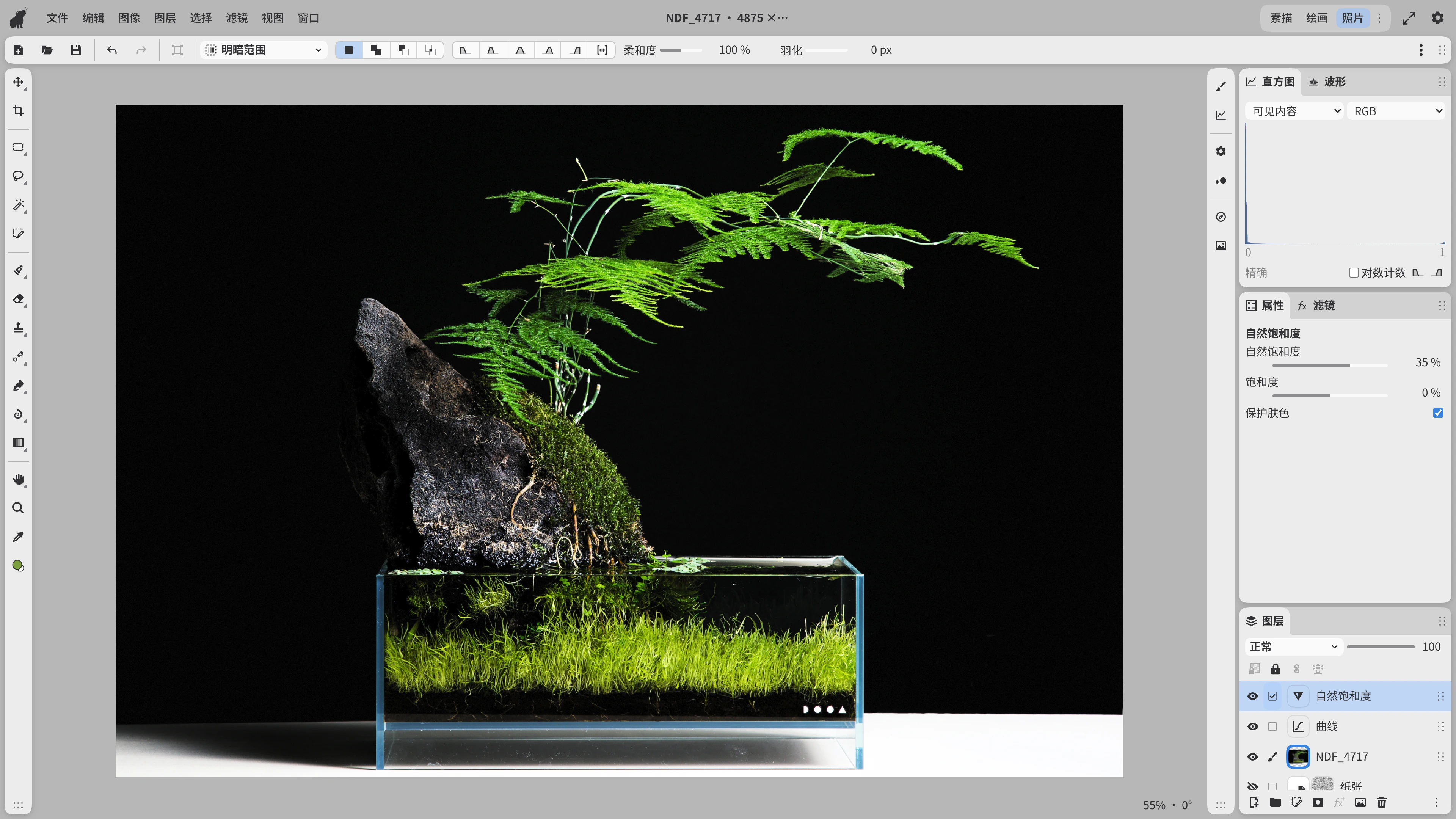 Photo工作区中的一张小型生态缸照片，显示按亮度选择区域的Tonal range工具，以及Curves和Vibrance调整图层。